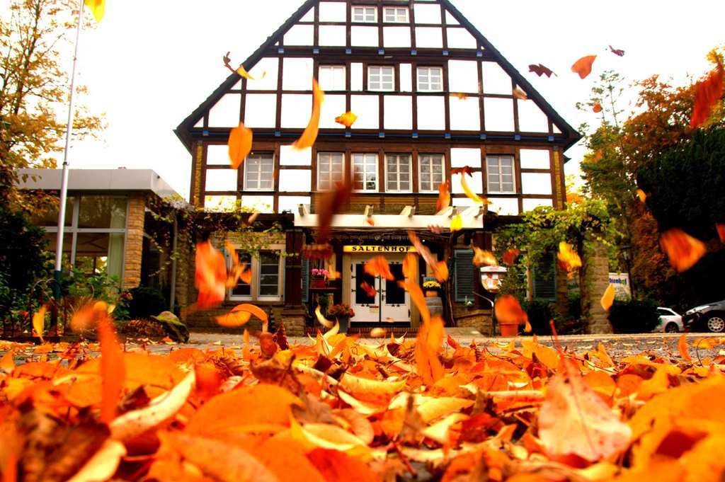 Akzent Saltenhof Hörstel